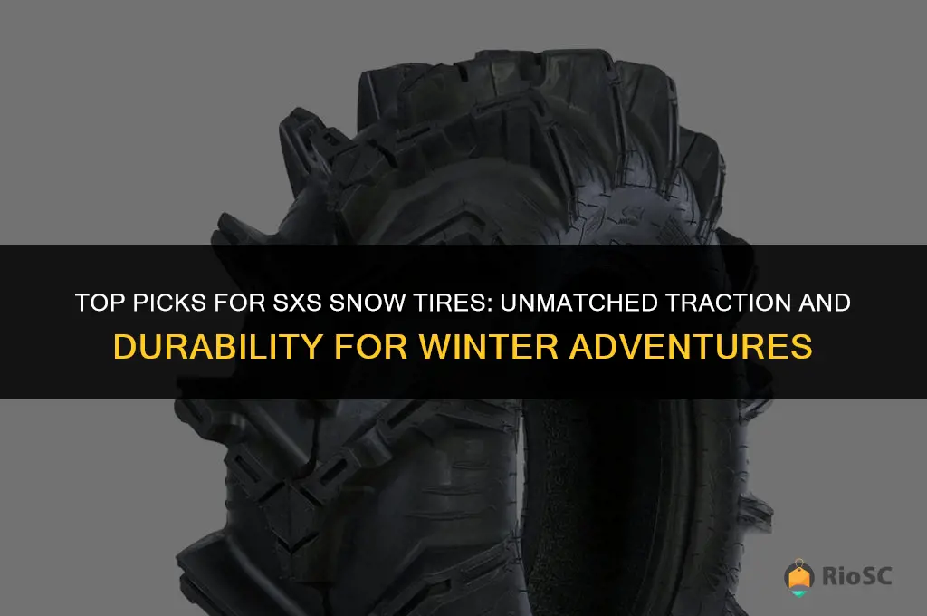 best sxs snow tires