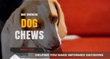 Top Synthetic Dog Chews: Safe and Durable Options for Your Pup