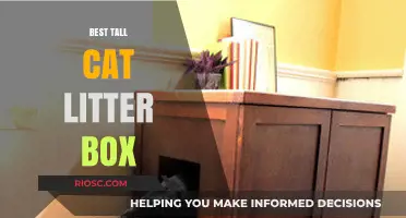 Top Picks for Tall Cat Litter Boxes: Keeping Messes Contained and Cats Comfortable