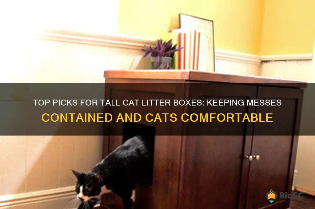 best tall cat litter box
