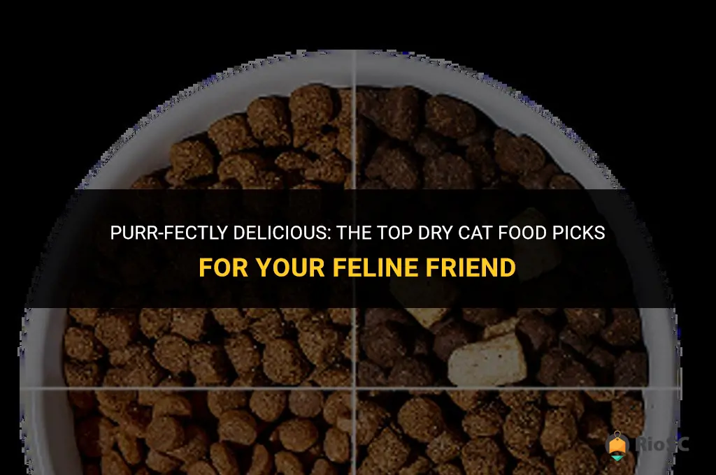 best tasting cat food dry