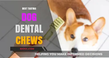 Delicious and Effective: Top Dog Dental Chews for Fresh Breath and Healthy Teeth