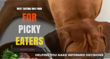 Delicious Dog Food Options to Entice Even the Pickiest Eaters