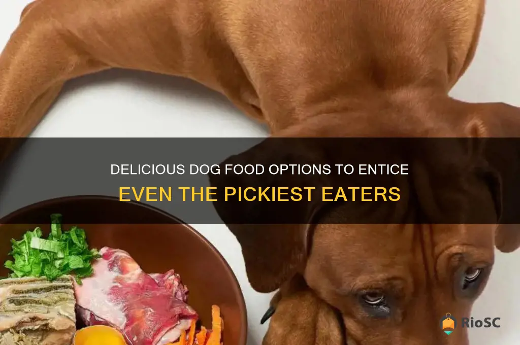 best tasting dog food for picky eaters