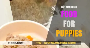 Delicious and Nutritious: Top Picks for the Best Tasting Dog Food for Puppies