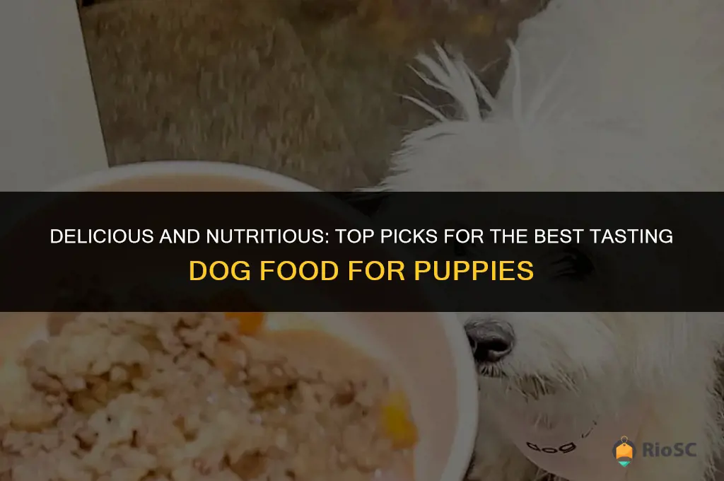 best tasting dog food for puppies