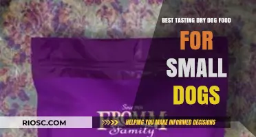 Delicious and Nutritious: Top Dry Dog Food Picks for Small Breeds