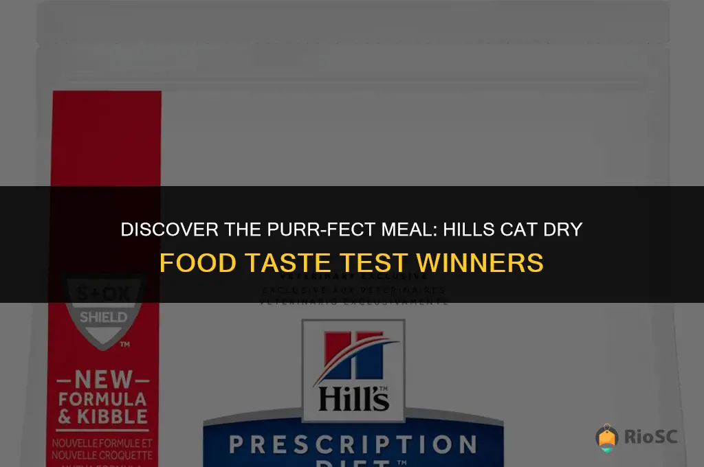 best tasting hills cat dry food