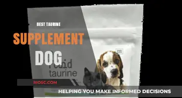 Top Taurine Supplements for Dogs: Enhancing Heart Health and Overall Well-Being