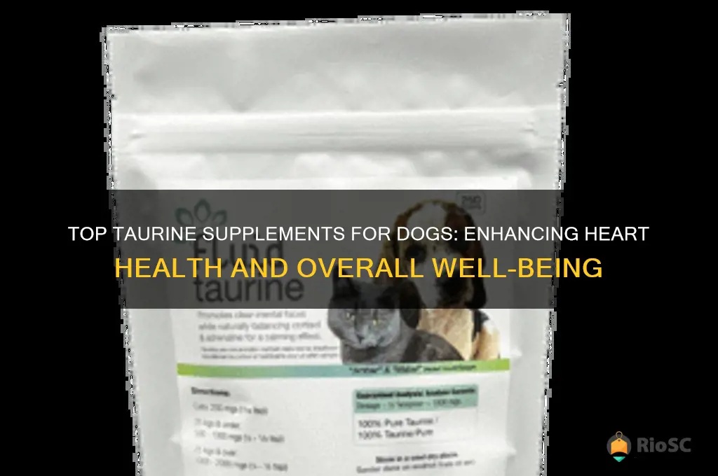 best taurine supplement dog