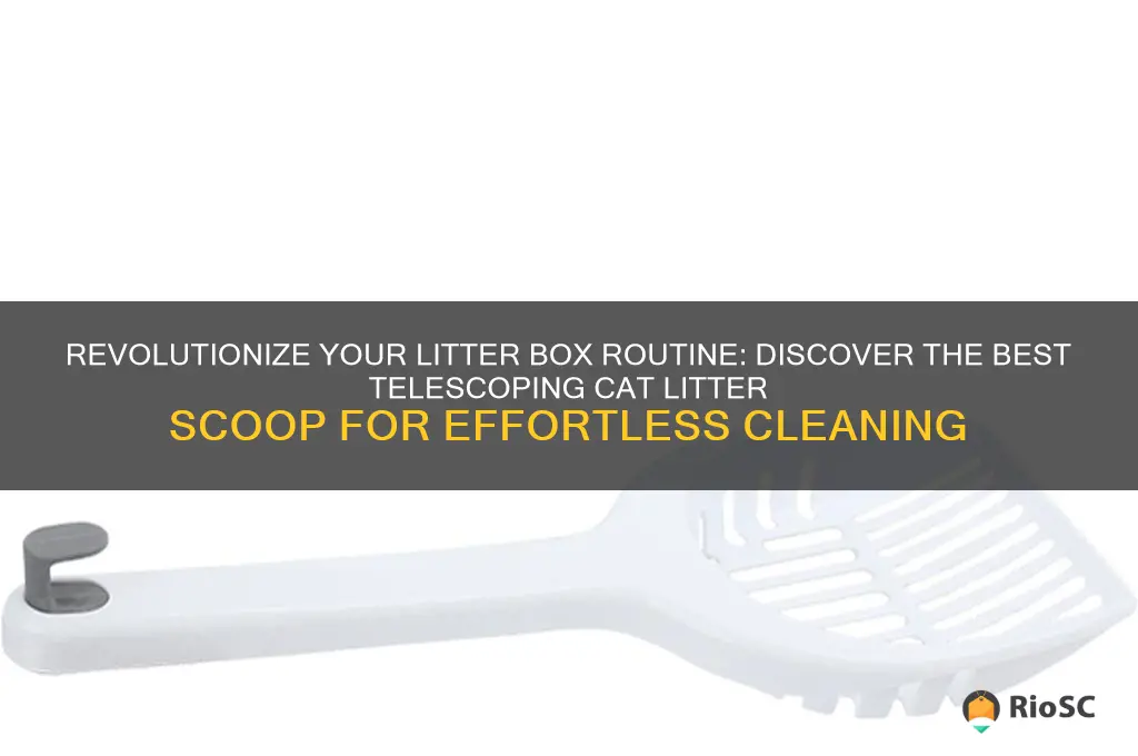 best telescoping cat litter scoop