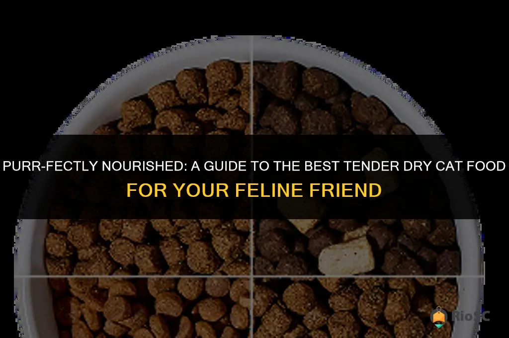 best tender dry cat food