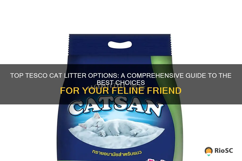 best tesco cat litter