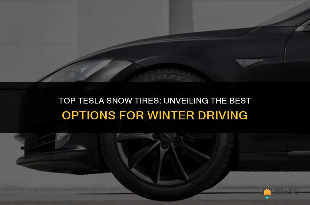 best tesla snow tires