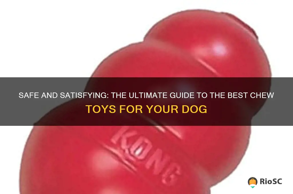 best thing for a dog to chew on