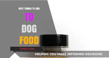 Boost Your Dog's Diet: Top Nutritious Additions to Enhance Their Meals