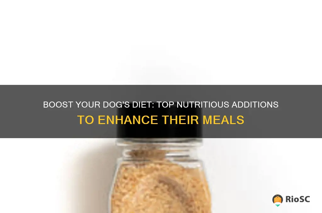 best things to add to dog food