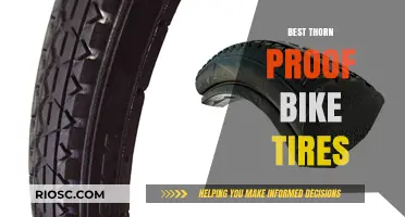 Thorn-Proof and Trail-Ready: Top Bike Tires for Puncture-Free Adventures