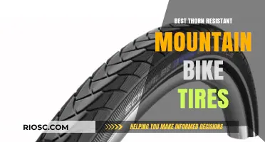 Tough Trails, No Troubles: Top Thorn-Resistant Mountain Bike Tires for Unstoppable Rides