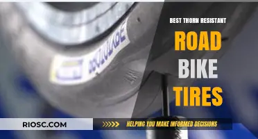 Top Thorn-Resistant Road Bike Tires for Puncture-Free Cycling Adventures