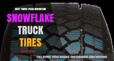 Top-Rated Three-Peak Mountain Snowflake Truck Tires for Ultimate Winter Performance