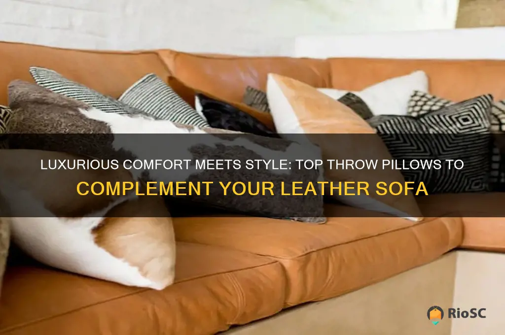 best throw pillows for leather sofa