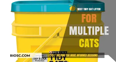 Top Tidy Cat Litter Solutions for Multi-Cat Households: Keep Your Home Fresh and Clean