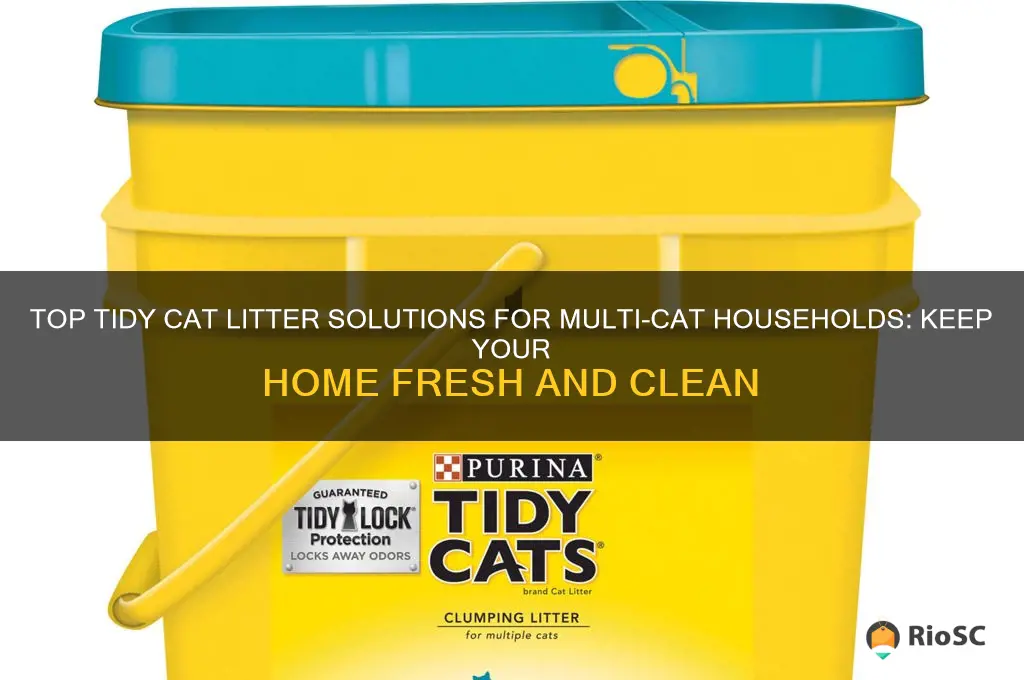 best tidy cat litter for multiple cats