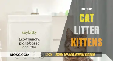 Top Tidy Cat Litter Options for Kittens: Keeping Your Little Feline’s Space Clean and Cozy