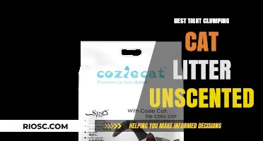 Top-Rated Unscented Tight Clumping Cat Litter for Odor Control and Easy Cleanup