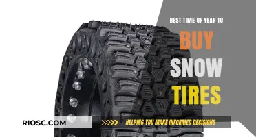 When to Gear Up: The Optimal Season for Purchasing Snow Tires