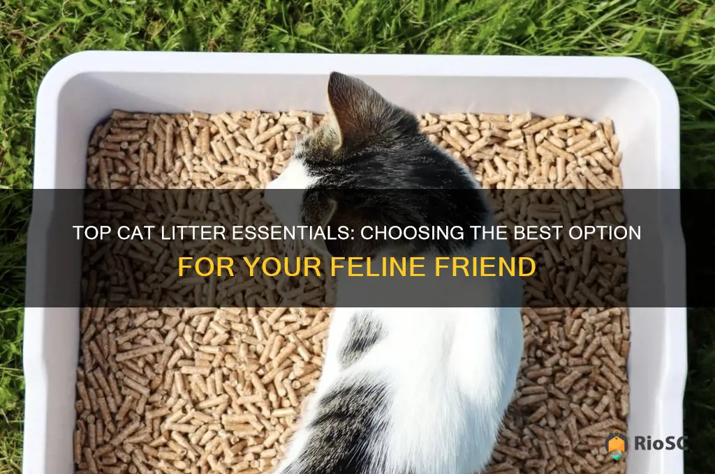 best ting to use a cat litter