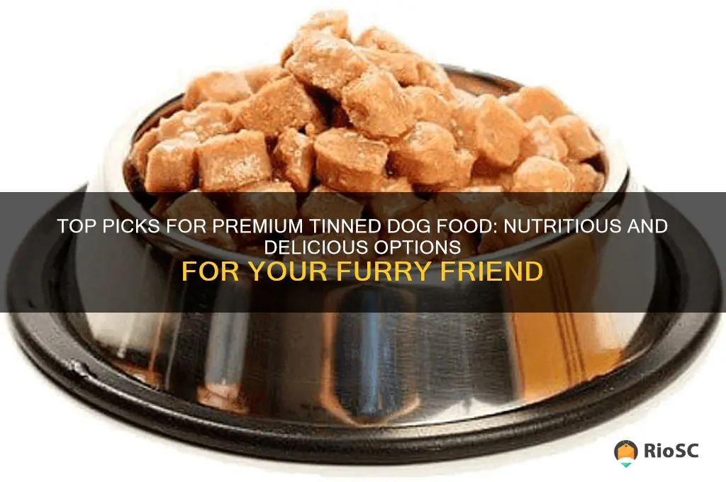 best tinned dog food