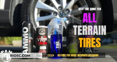 Ultimate Tire Shine for All-Terrain Adventures