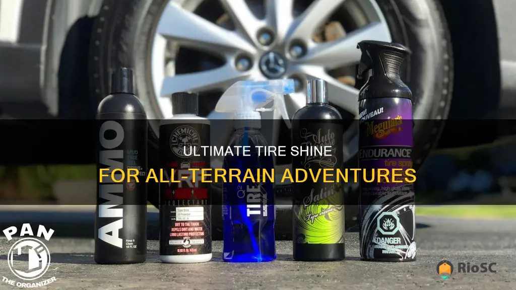 best tire shine for all terrain tires