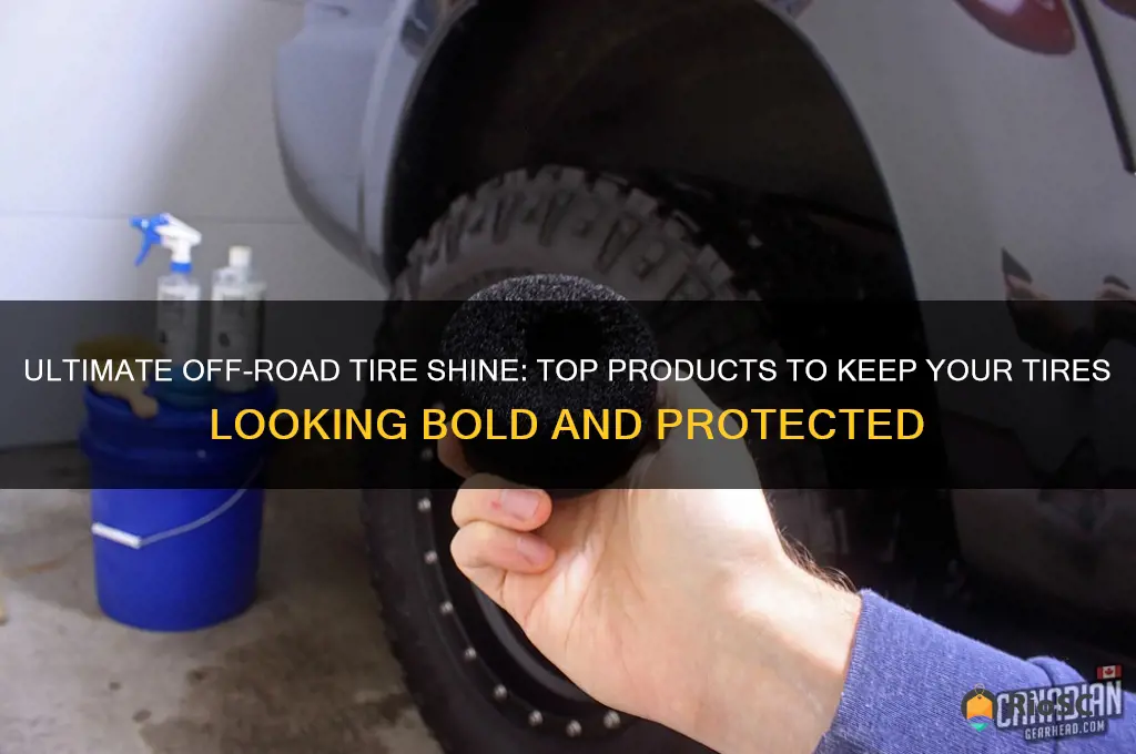best tire shine for off road tires