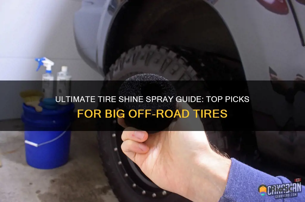 best tire shine spray for big off road tires