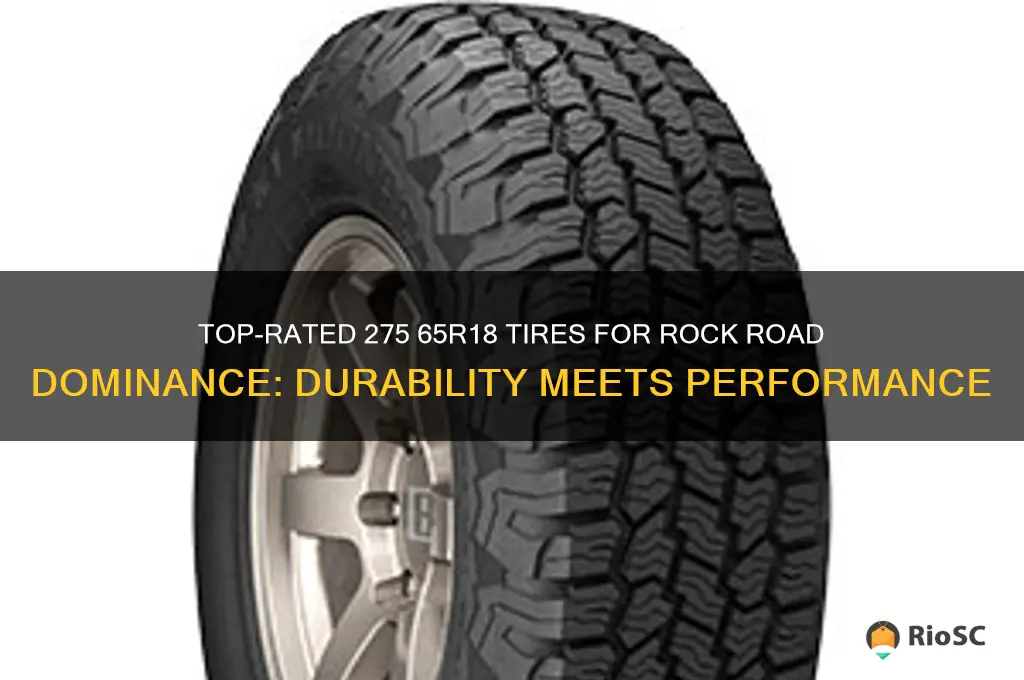 best tires 275 65r18 for rock road