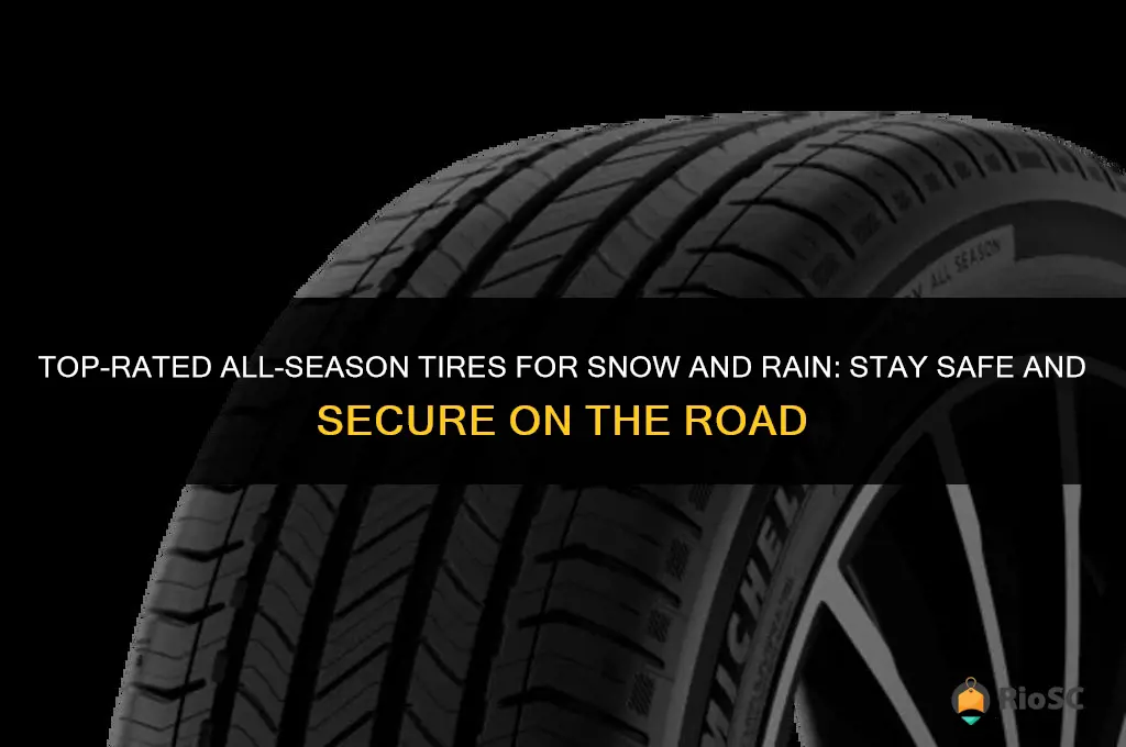 best tires all season in snow rain
