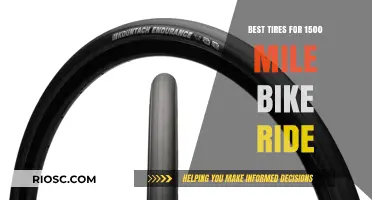 Ultimate Guide to Choosing the Best Tires for a 1500-Mile Bike Adventure