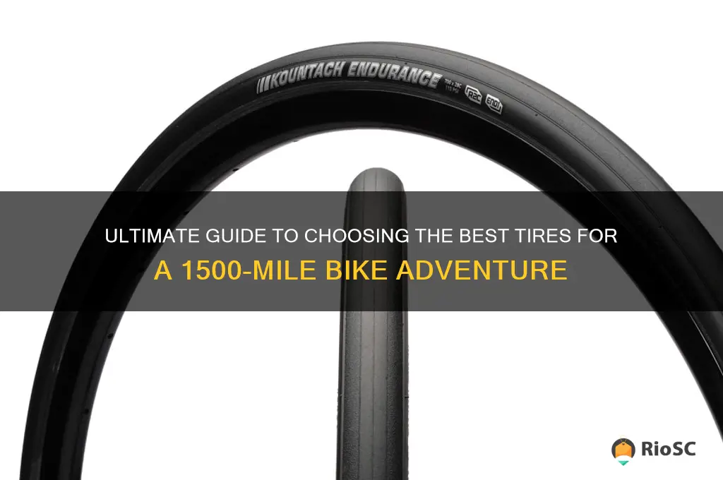best tires for 1500 mile bike ride