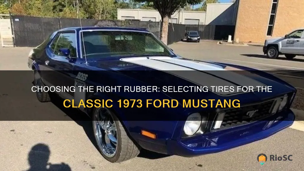 best tires for 1973 ford mustang