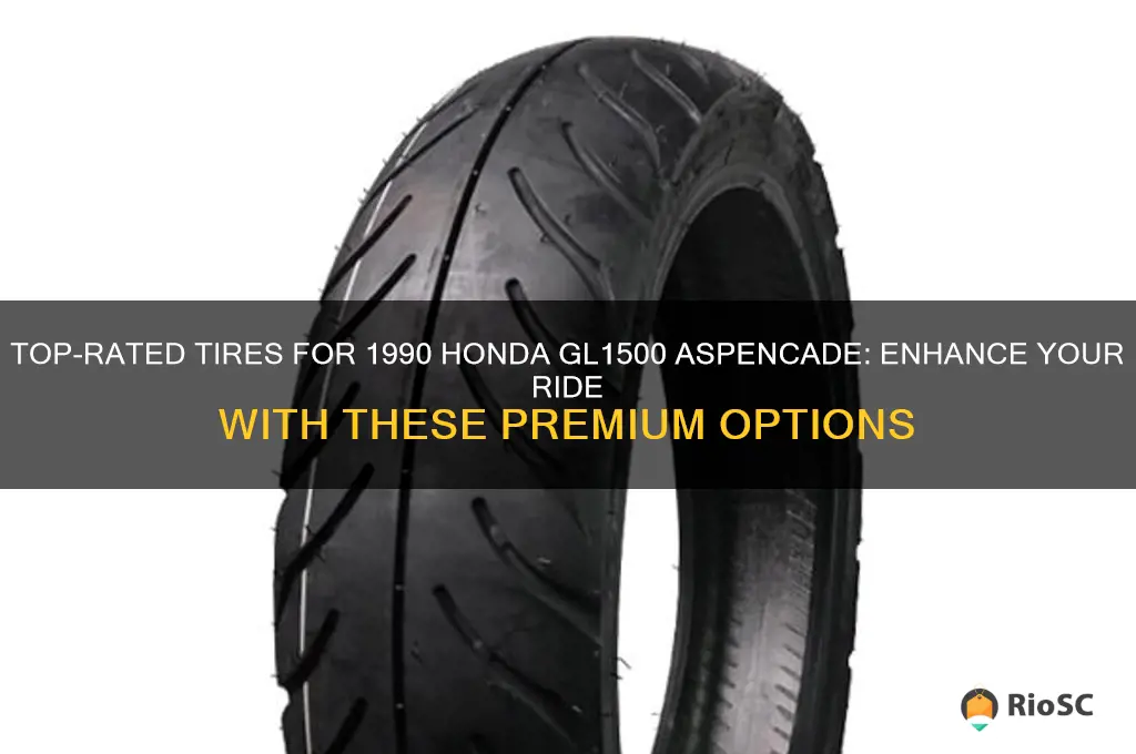 best tires for 1990 honda gl1500 aspencade