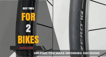 Top-Rated Tires for Your Two-Bike Adventure: Performance, Durability, and Value