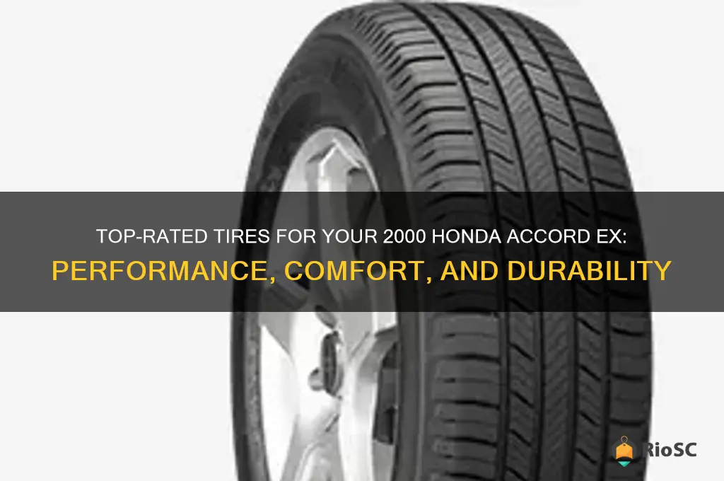 2000 Honda Accord Tire Size