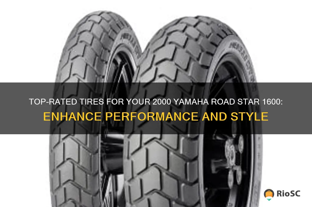 best tires for 2000 yamaha road star 1600