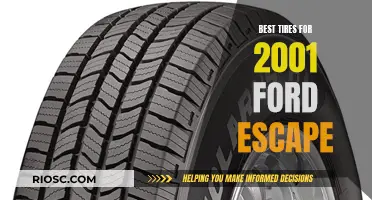 Top-Performing Tires for Your 2001 Ford Escape