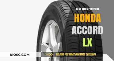 Top-Rated Tires for 2001 Honda Accord LX: Enhance Performance and Safety