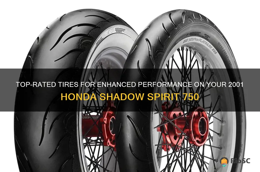 best tires for 2001 honda shadow spirit 750