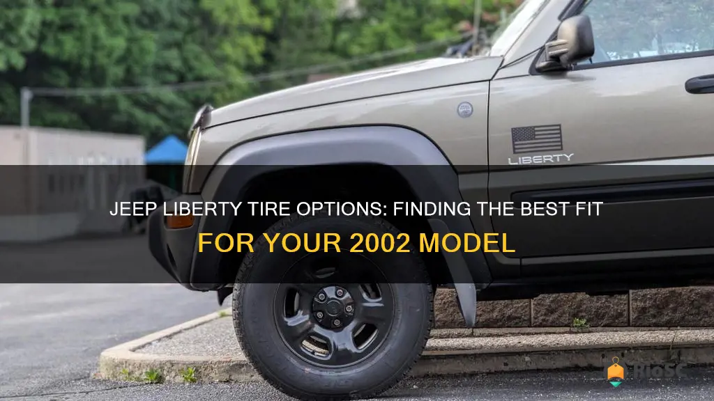 best tires for 2002 jeep liberty